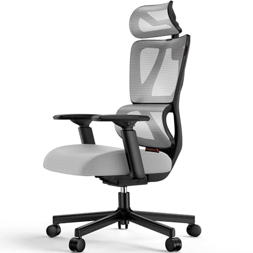 ProtoArc Ergonomic Office Chair EC100: Thick Cushion, Adaptive Lumbar Support, Mesh Design for Big and Tall Users, Grey