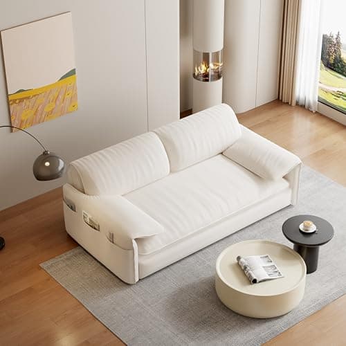 FANYE 63.8" Queen Sofabed 3-in-1 Sleep & Lounge Sofa, Armrest Pillows for Home