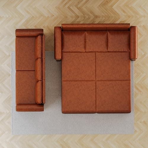FANYE 63.8" Queen Sofabed 3-in-1 Sleep & Lounge Sofa, Armrest Pillows for Home