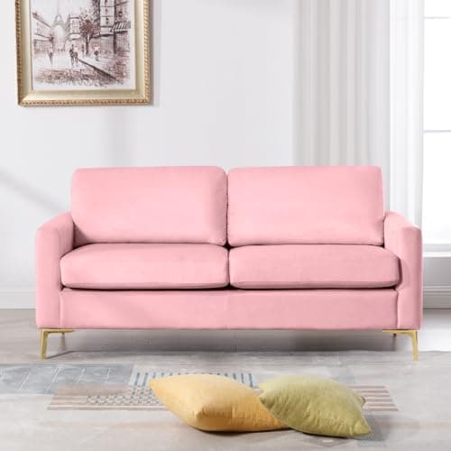65 Velvet Love Seat Sofa, Mid Century Modern Small Couch for Living Room, Office, Bedroom, Apartment.