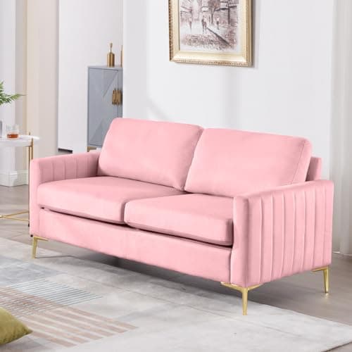 65 Velvet Love Seat Sofa, Mid Century Modern Small Couch for Living Room, Office, Bedroom, Apartment.
