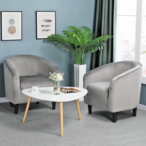 Yaheetech Grey Velvet Living Room Chair with Armrest and Low Back