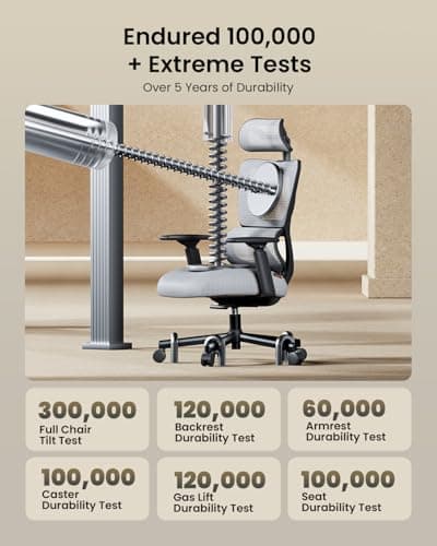 ProtoArc Ergonomic Office Chair EC100: Thick Cushion, Adaptive Lumbar Support, Mesh Design for Big and Tall Users, Grey