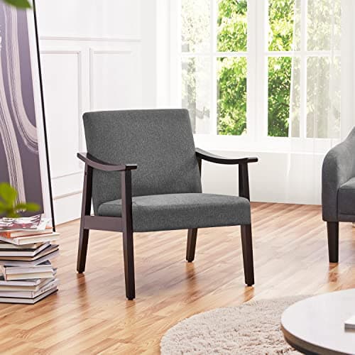 Yaheetech Dark Gray Mid-Century Modern Living Room Accent Chair with High Back
