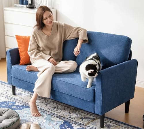 LINSY Blue Loveseat Sofa - Comfortable Small Space Couch with Thick Cushion