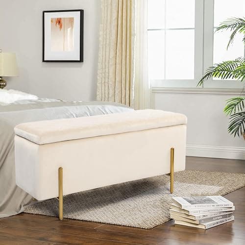 DAGONHIL Gray Velvet Storage Ottoman for Living Room and Bedroom