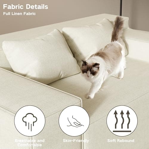 Modern Loveseat Sofa with Sleeper Function and Cat-Scratch Resistant Fabric, No Assembly Required - Beige Color