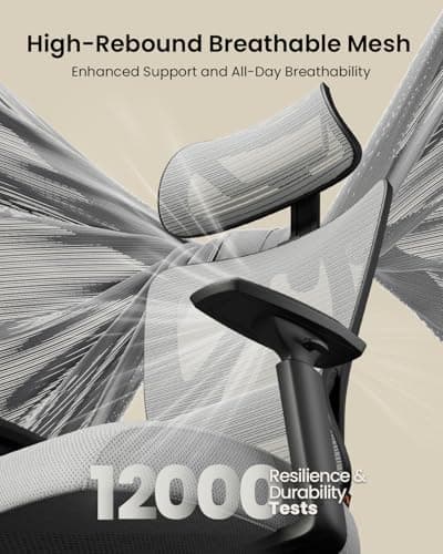 ProtoArc Ergonomic Office Chair EC100: Thick Cushion, Adaptive Lumbar Support, Mesh Design for Big and Tall Users, Grey