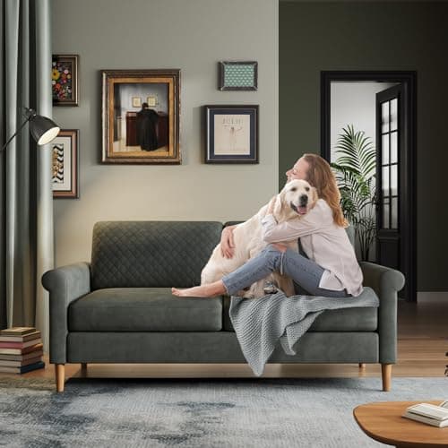 Vesgantti Mid Century Grey 65" Loveseat, Comfortable Living Room Sofa