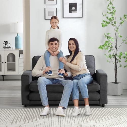 Convertible Loveseat Sleeper Couch with Legs and Back Cushion